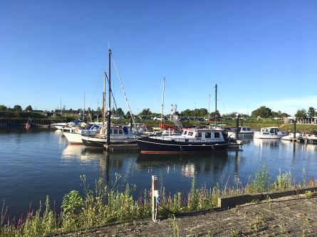 Foto Camping/Jachthaven 't Wilgerak