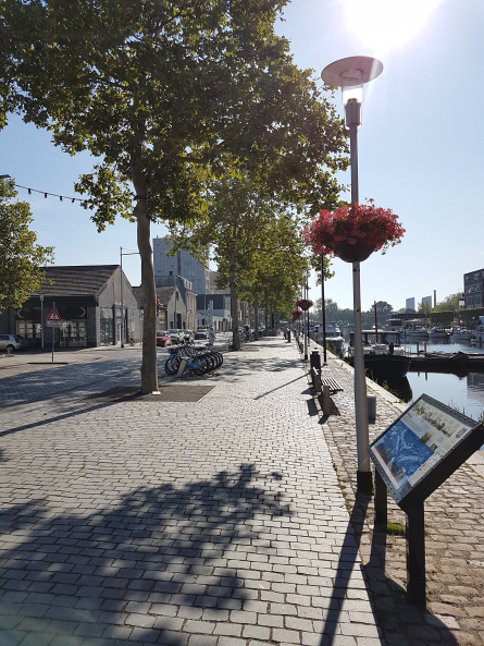 Foto Gemeente Tilburg Piushaven