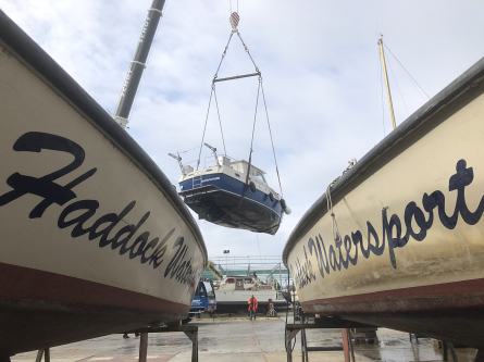Foto Haddock Watersport