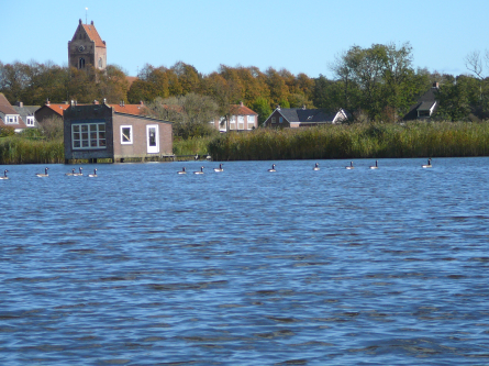 Foto Haven Aldtsjerk