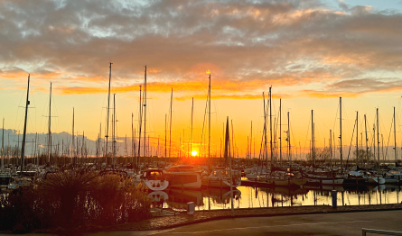 Foto Marina Muiderzand