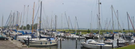 Foto W.S.V. Het Bommelse Gors