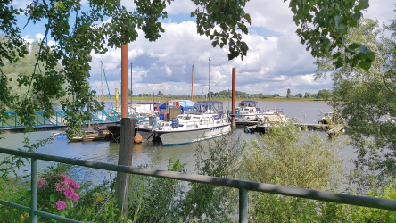 Foto W.S.V. Loowaard